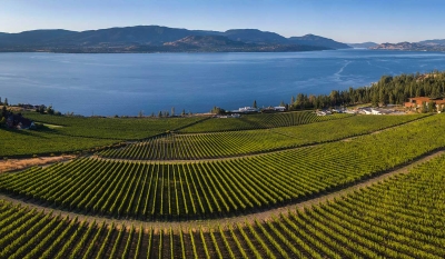CEDAR CREEK ESTATE WINERY
