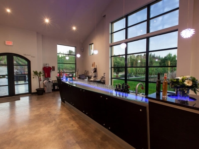 EX NIHILO VINEYARDS